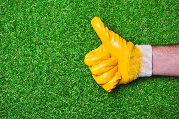 American Synthetic Grass
